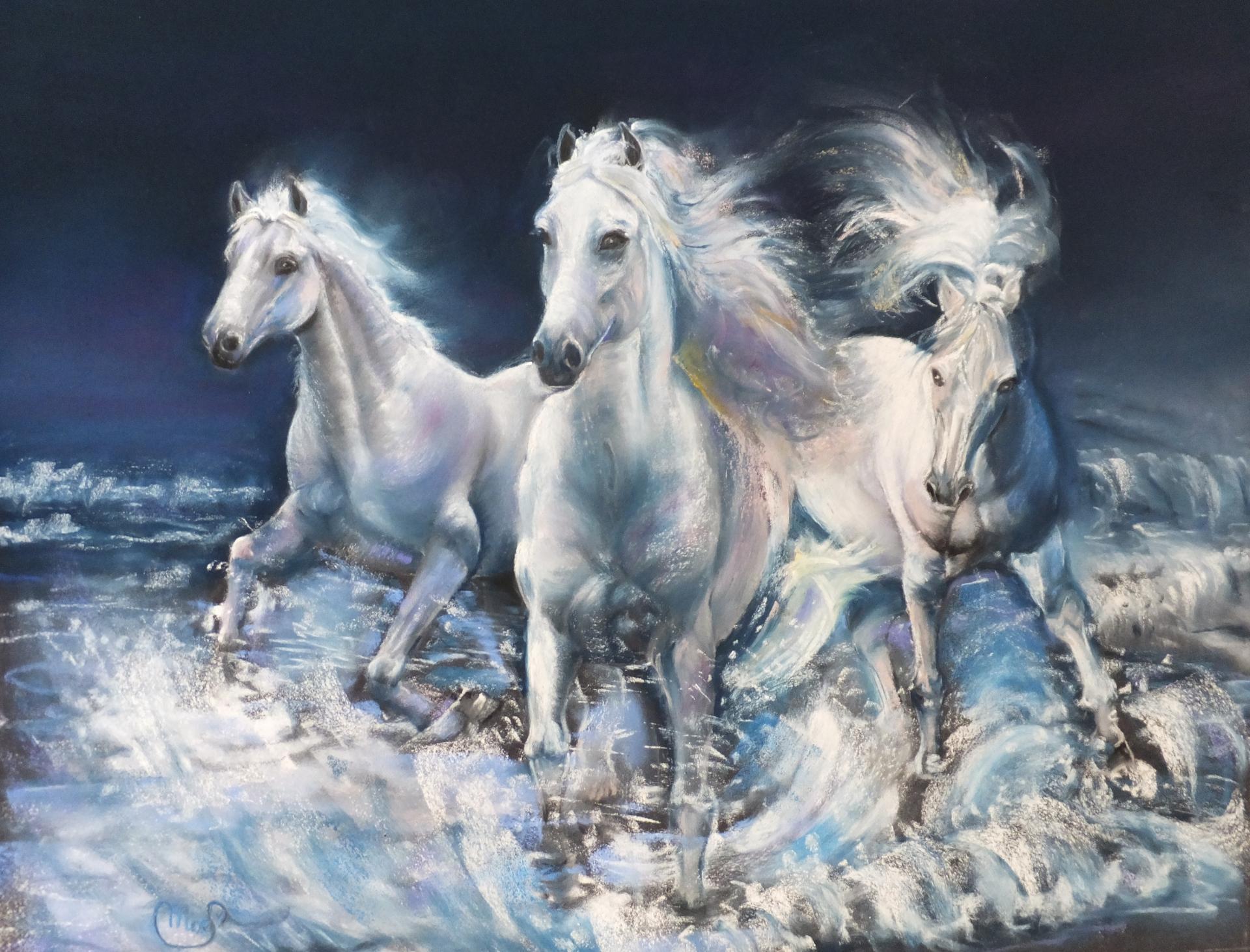 Camargue