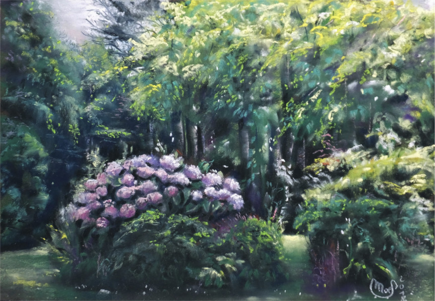 Les Hortensias de Squividan